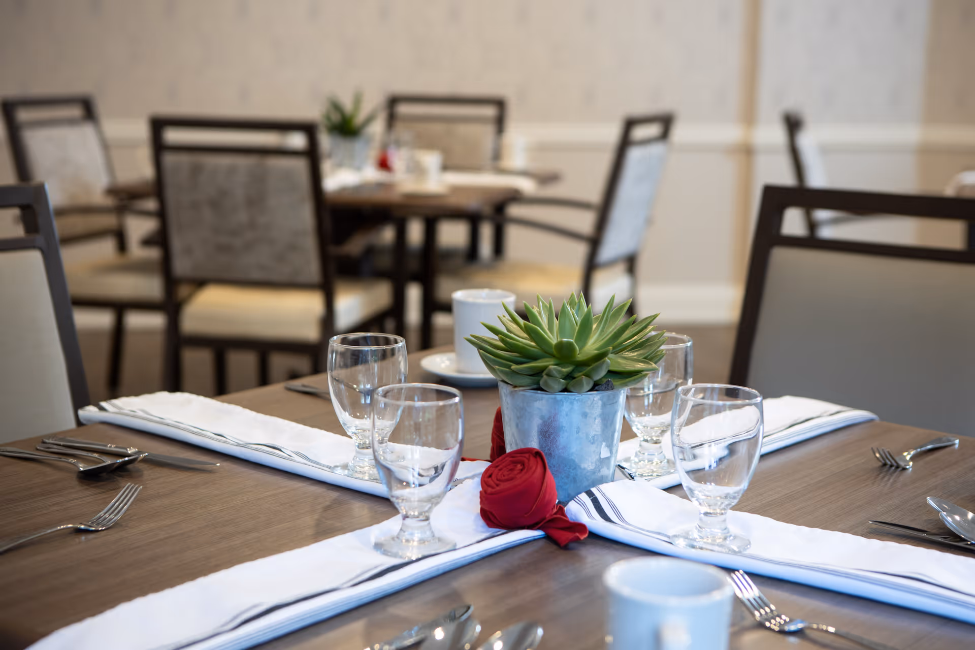 A dining table set with clear drinking glasses, white napkins, silverware, and a small potted succulent plant centerpiece. The background shows additional tables and chairs in a softly lit dining room.