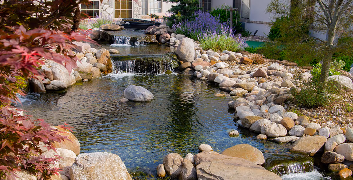 A landscaped courtyard pond with small cascading waterfalls, rocks, and plants in front of a building.