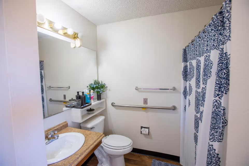 A clean bathroom with a white toilet, a sink with a brown countertop, a large mirror above the sink, and a shower with a white and blue patterned curtain. There are grab bars on the wall near the toilet and a small shelf above the toilet holding toiletries and a small plant.