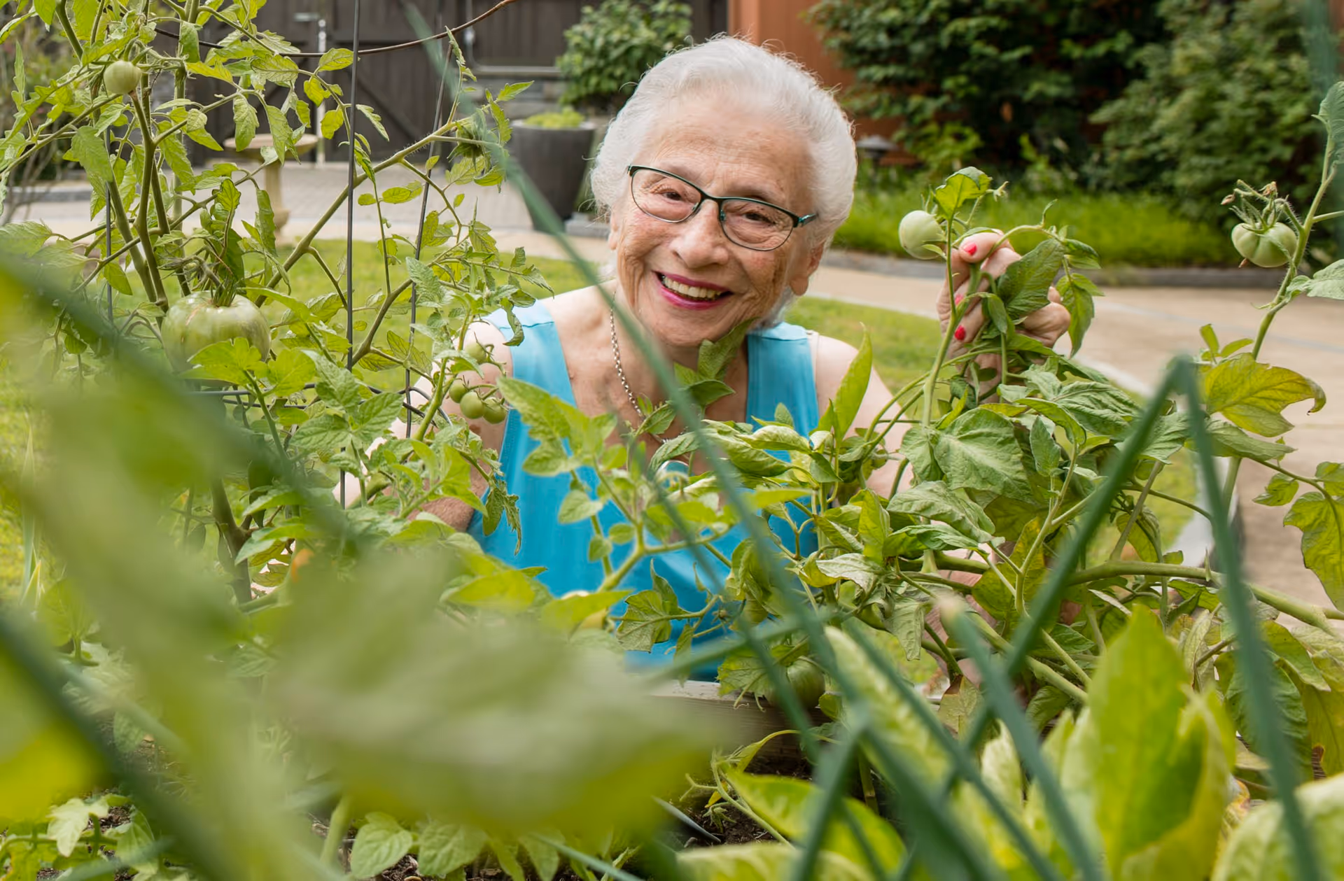 An elderly woman with white hair and glasses smiles while tending to green plants in a garden. She is wearing a sleeveless blue top and is surrounded by lush foliage and unripe tomatoes.