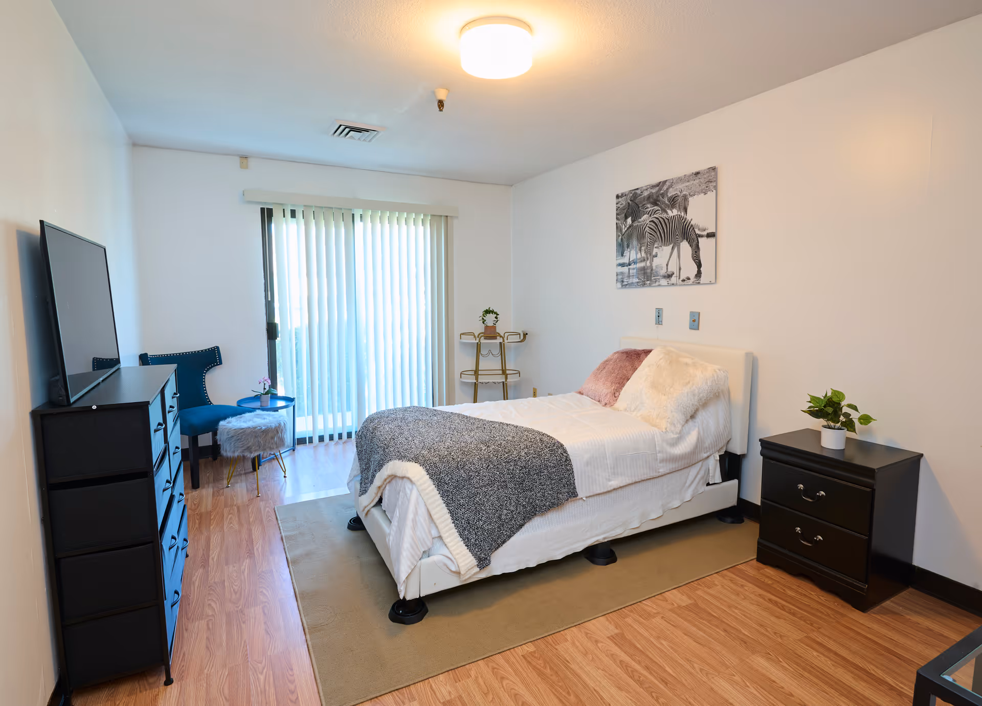 A neatly arranged bedroom with a single bed covered in white linens, a gray blanket, and two pillows. There is a black nightstand with a small potted plant on the right side of the bed. On the left side of the room, there is a black dresser with a flat-screen TV on top, a blue chair, and a small round table with a furry stool. The room has wooden flooring, a beige rug under the bed, and vertical blinds covering a sliding glass door. A black and white zebra picture hangs on the wall above the bed.
