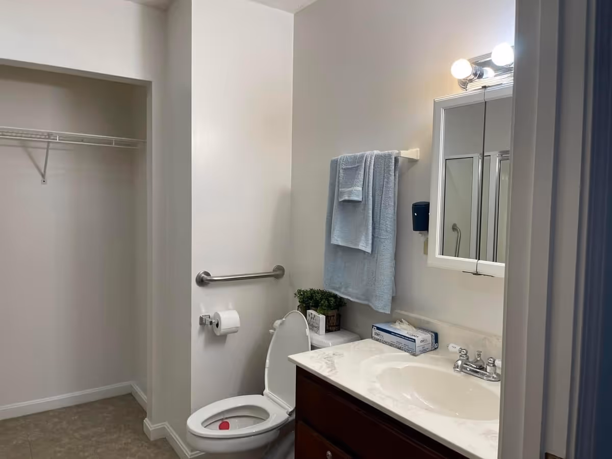 A bathroom with a toilet, a towel rack holding two blue towels, a sink with a marble countertop, a mirror with lights above it, and a small plant on the toilet tank. There is also an open closet with a wire shelf visible to the left.