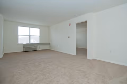 Empty room with beige carpet, white walls, a large window with natural light, and an open doorway leading to another room.