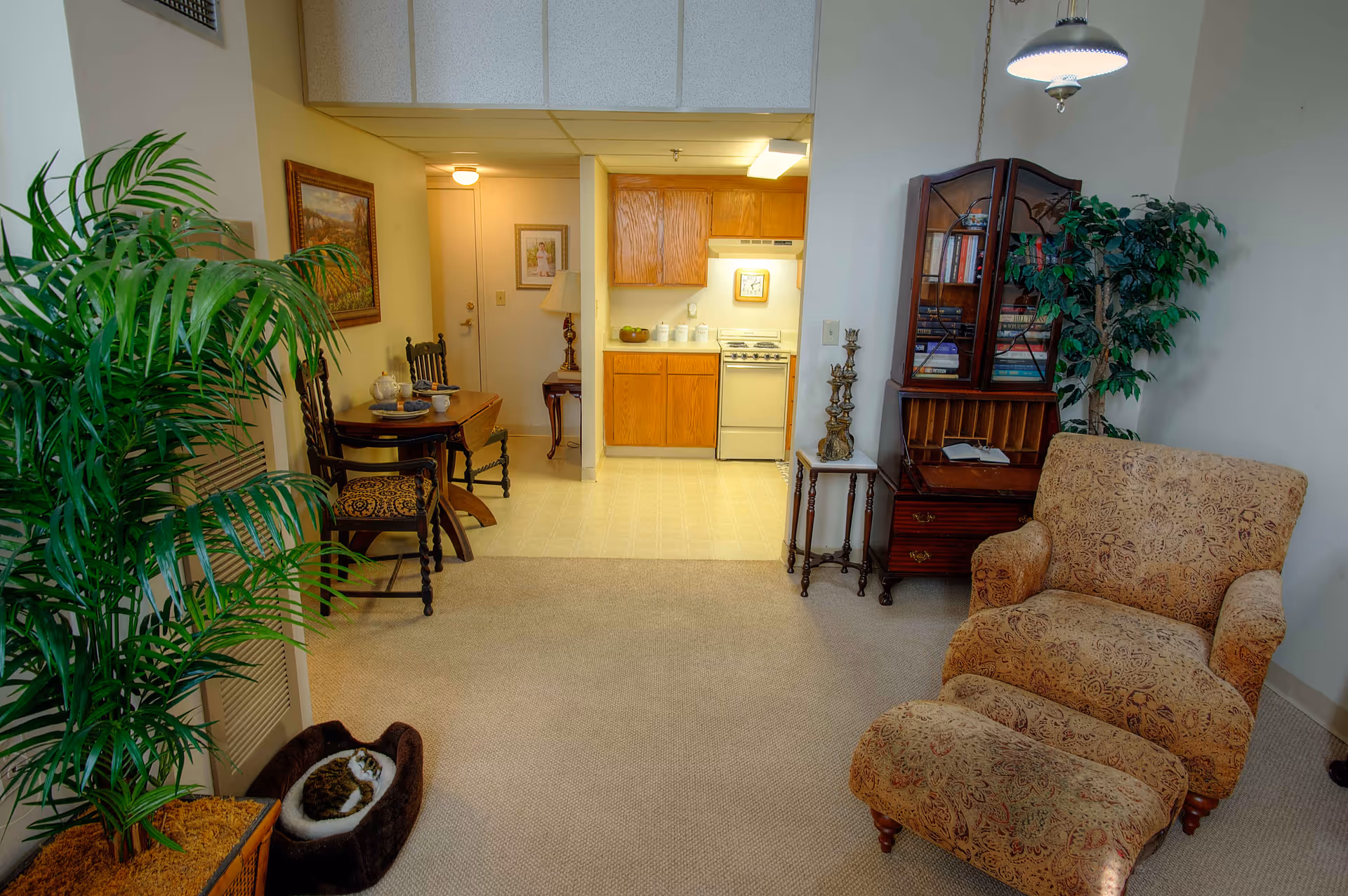 A cozy living area in Coventry Place featuring a patterned armchair with matching ottoman, a wooden cabinet filled with books, a small side table with decorative candlesticks, and a large potted plant. In the background, there is a small dining table with two chairs and a compact kitchen with wooden cabinets, a stove, and a clock on the wall. A cat is curled up in a pet bed near the plant.