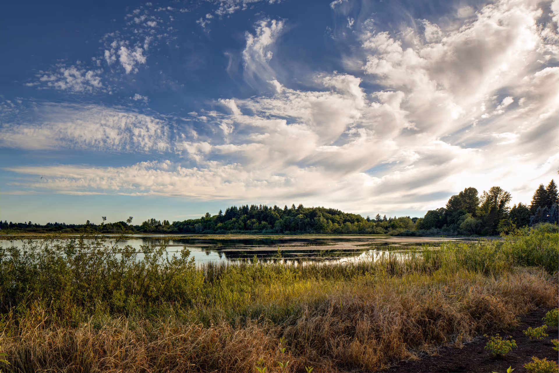 A tranquil marshy lake with grassy shoreline, distant treeline, and a dramatic cloud-filled sky.