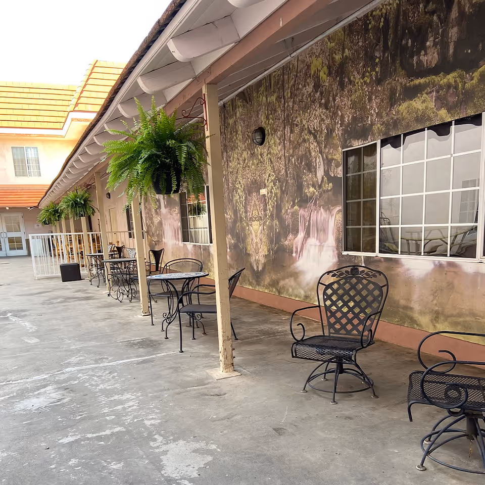 Outdoor patio area with metal tables, chairs, and hanging ferns along a mural wall.