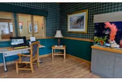 A cozy interior room with green and yellow checkered wallpaper and green wainscoting. The room features a wooden chair and desk with a computer, a small side table with a lamp, framed artwork on the walls, and a large fish tank with colorful decorations on a cabinet.