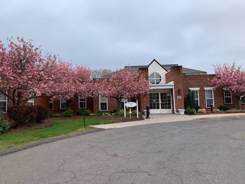 Front exterior view of Glastonbury Center for Health & Rehabilitation, a brick building with a central entrance. The entrance has glass doors and a white frame. Pink flowering trees line the walkway leading to the entrance, with green grass and shrubs on either side. The sky is overcast.