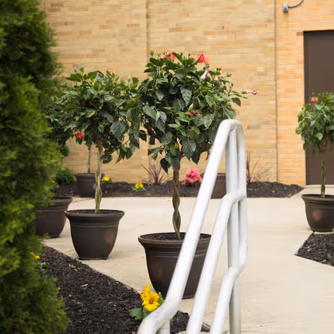 Outdoor area with potted plants featuring twisted trunks and green leaves with pink flowers, placed along a concrete pathway with a white metal handrail. The background shows a brick building wall and some landscaping with mulch and small flowers.