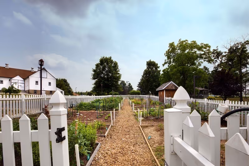 A fenced garden area with multiple planting beds and a wood chip pathway running down the center. There are trees and a small wooden shed in the background, with a large white building visible to the left under a partly cloudy sky.