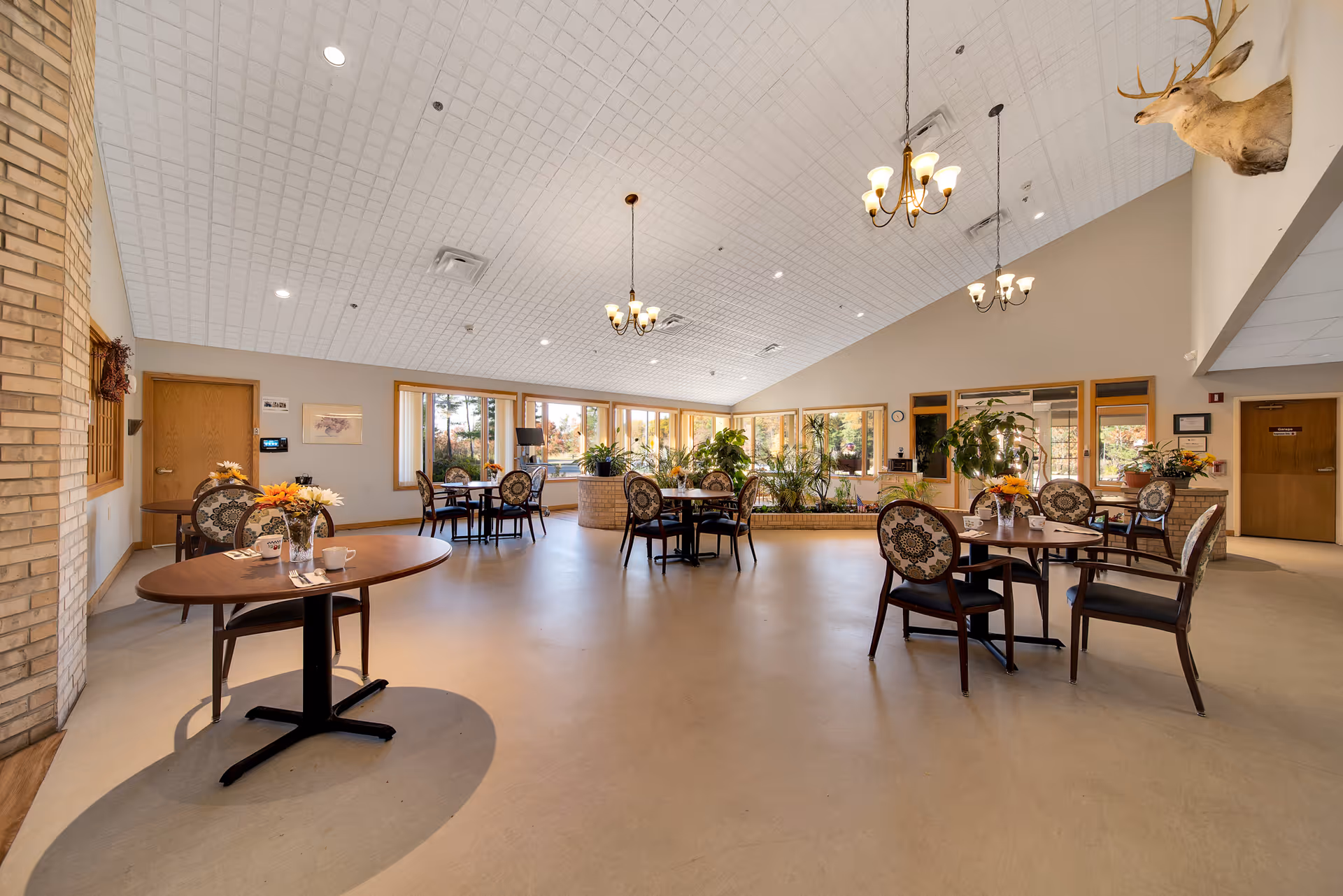 A spacious dining room with round tables and chairs arranged neatly. The room has large windows letting in natural light, several hanging chandeliers, and various plants placed around the space. There is a mounted deer head on the wall and a brick pillar on the left side.