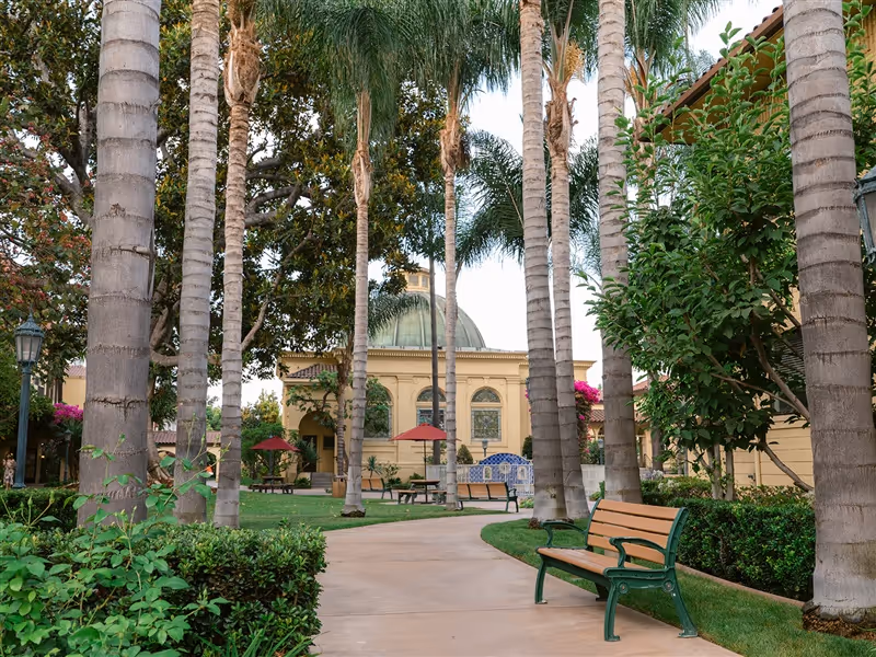 Photo 15 of Hollenbeck Palms