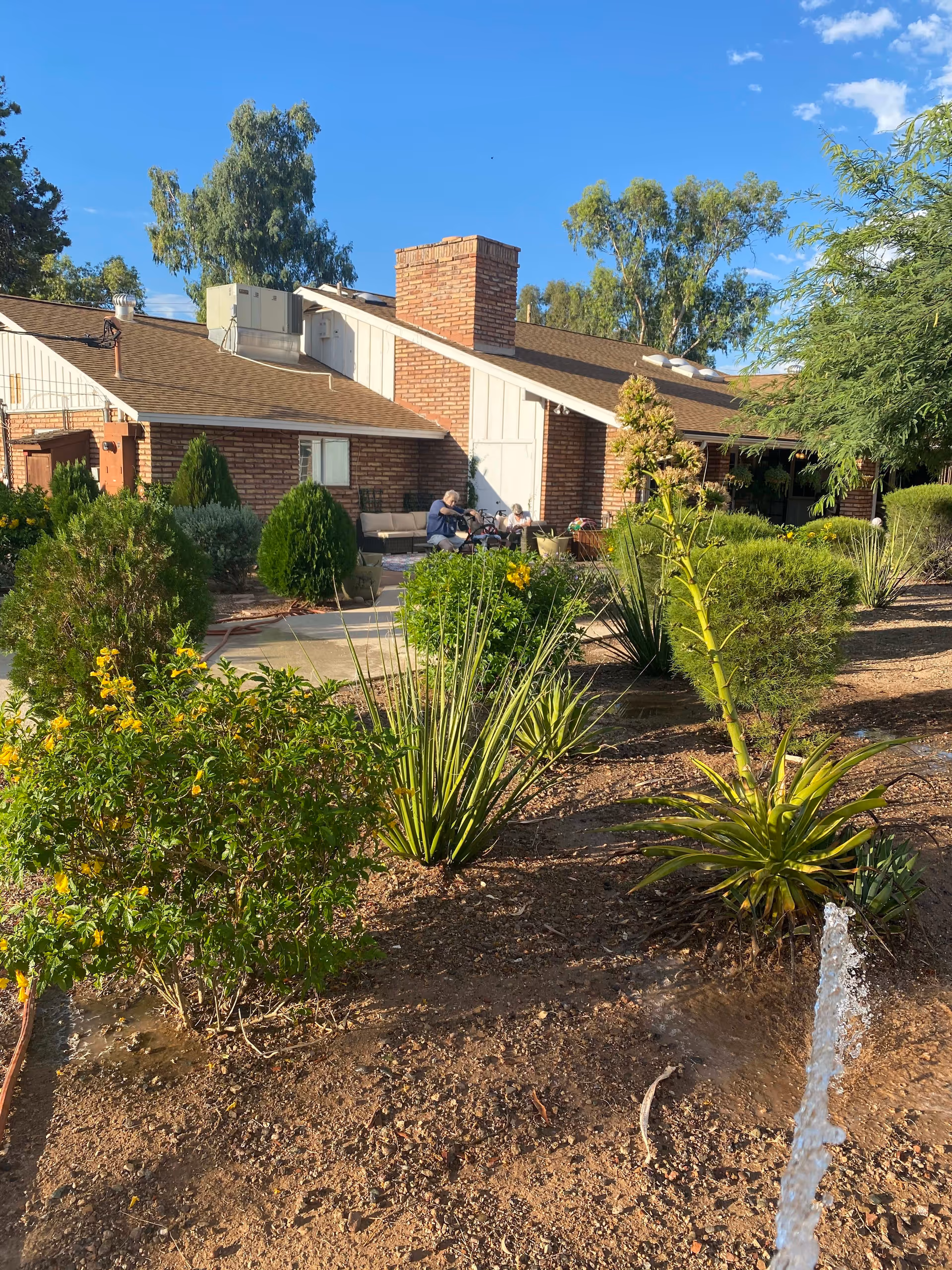 Outdoor garden area at Winston Park with various green plants and shrubs, a water sprinkler in the foreground, and a brick building with a chimney in the background. Two elderly people are sitting on a patio with outdoor furniture near the building. The sky is clear and blue.