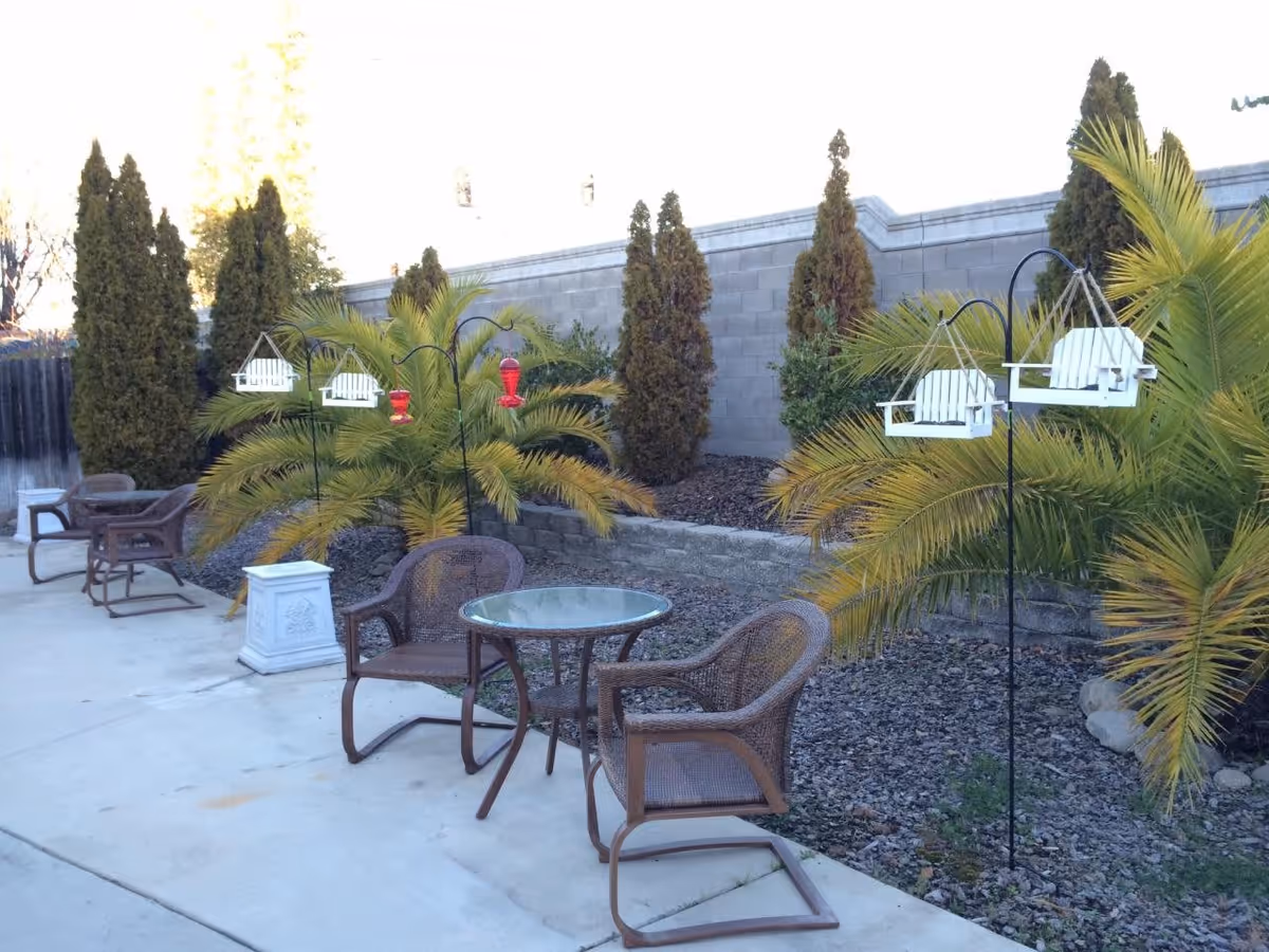 Outdoor patio area with brown wicker chairs and a round glass-top table on a concrete surface. There are bird feeders hanging on metal stands and various green plants, including palm trees and tall shrubs, along a stone retaining wall and a concrete block fence in the background.