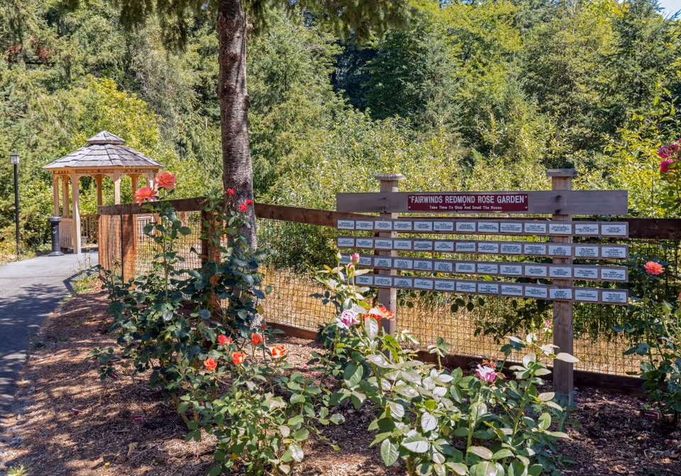 A peaceful outdoor rose garden with various blooming roses along a mulched path. A wooden fence holds a sign that reads 'Fairwinds Redmond Rose Garden' with smaller plaques underneath. In the background, there is a wooden gazebo surrounded by lush green trees and shrubs.