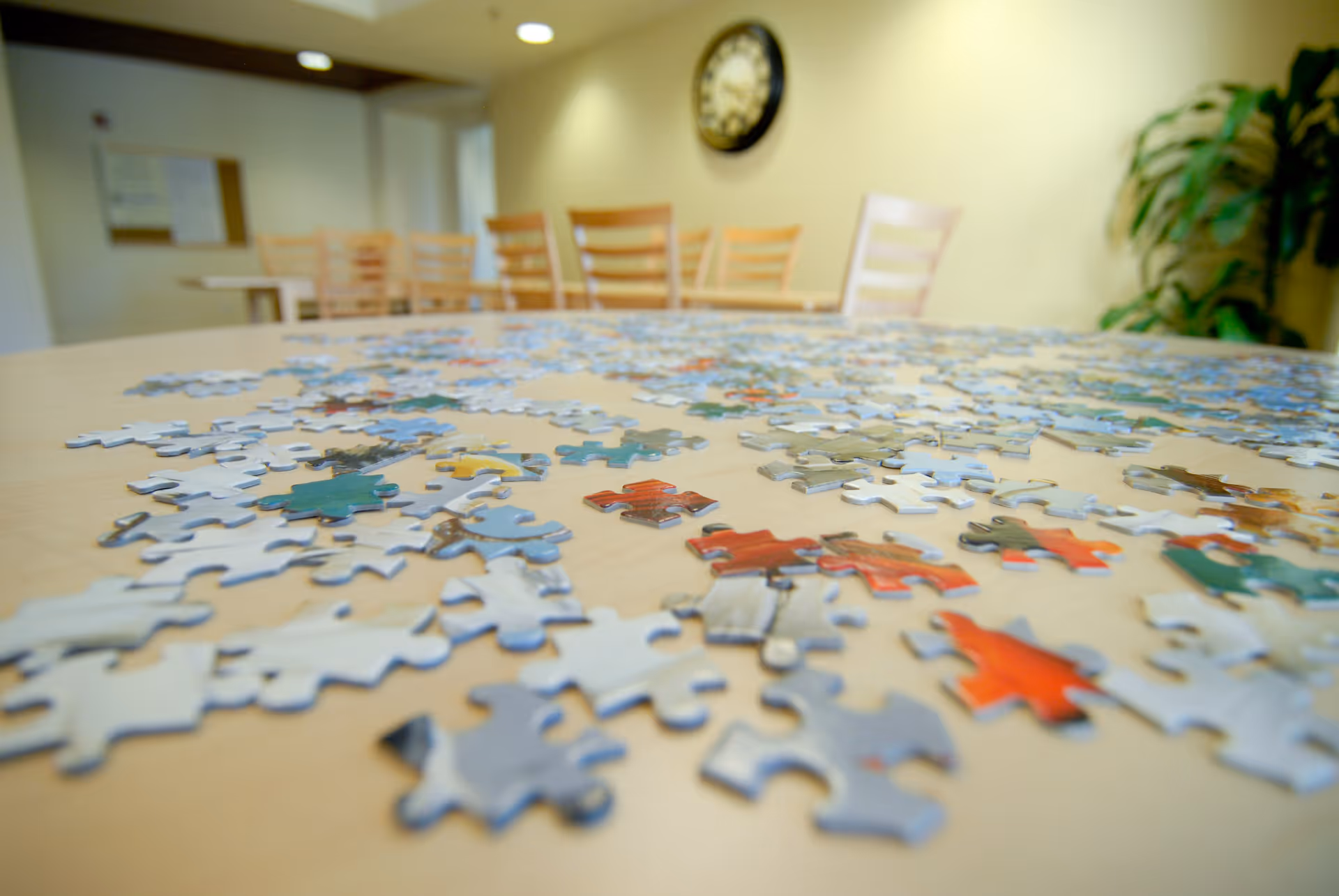 Close-up view of scattered puzzle pieces on a wooden table in a well-lit room with wooden chairs and a clock on the wall in the background.