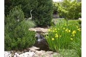 A serene outdoor garden area featuring a small pond with a waterfall surrounded by rocks, lush green plants, yellow flowers, and a decorative metal heron statue.