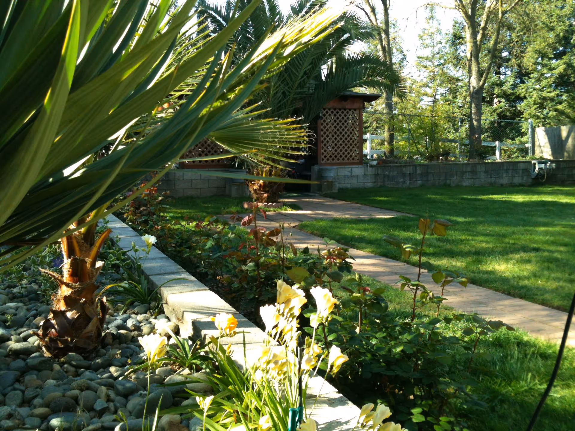 A sunny outdoor garden area with a stone-lined flower bed containing palm trees and blooming flowers. There is a paved walkway leading to a wooden lattice structure surrounded by green grass and trees.