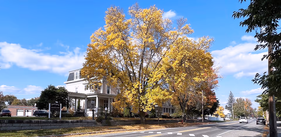 Exterior view of a large white multi-story building partially obscured by a large tree with yellow autumn leaves, situated next to a street with cars parked along the side and a clear blue sky with some clouds above.