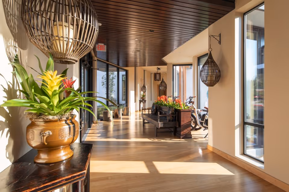 A bright hallway with wooden flooring and ceiling, decorated with potted plants and hanging wicker light fixtures. Large windows on the right side let in natural light, and there is a bench with more plants along the hallway.