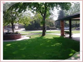 A sunny outdoor area with green grass, a tree providing shade, a brick circular planter, and a covered patio with chairs. In the background, there are bushes, a road, and some parked cars.