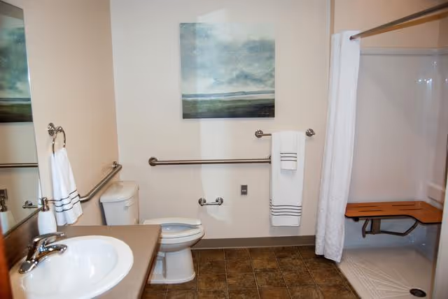 Accessible bathroom with a sink, toilet, wall grab bars, and a shower with a folding bench beneath a landscape painting.