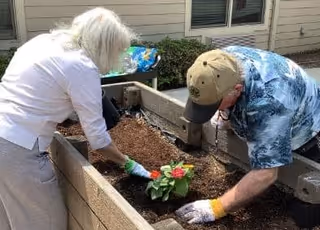 Two people planting flowers in a raised outdoor planter next to a building.