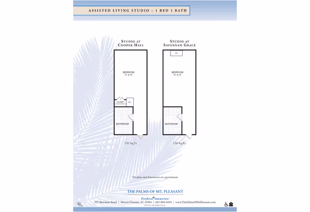 Floor plan layout for an assisted living studio with 1 bedroom and 1 bathroom at The Palms of Mt. Pleasant, showing two studio options: Studio at Cooper Hall and Studio at Savannah Grace, each 250 square feet with bedroom, bathroom, and closet or AC space.
