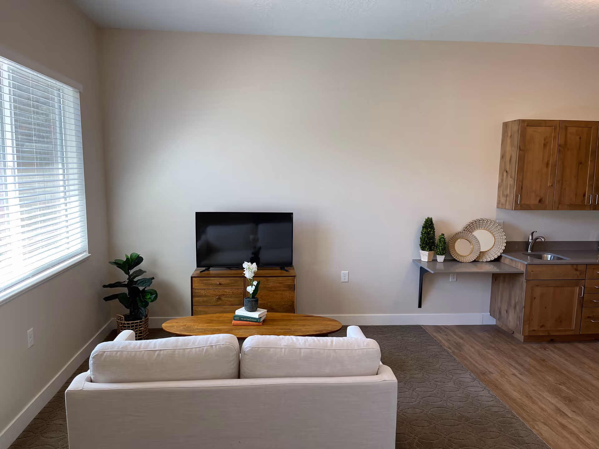 A small living area with a white couch facing a wooden TV stand with a flat-screen television. A wooden coffee table with a small plant and books is in front of the couch. To the right, there is a kitchenette with wooden cabinets, a sink, and a small counter with decorative plates and two small potted plants. A window with white blinds is on the left wall, and a potted plant is in the corner near the window.