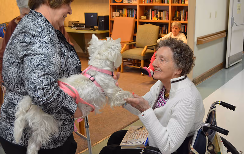 An elderly woman in a wheelchair smiling and reaching out to pet a small white dog wearing a pink harness, held by another woman standing nearby. In the background, there are chairs, a computer desk, and another elderly person seated.