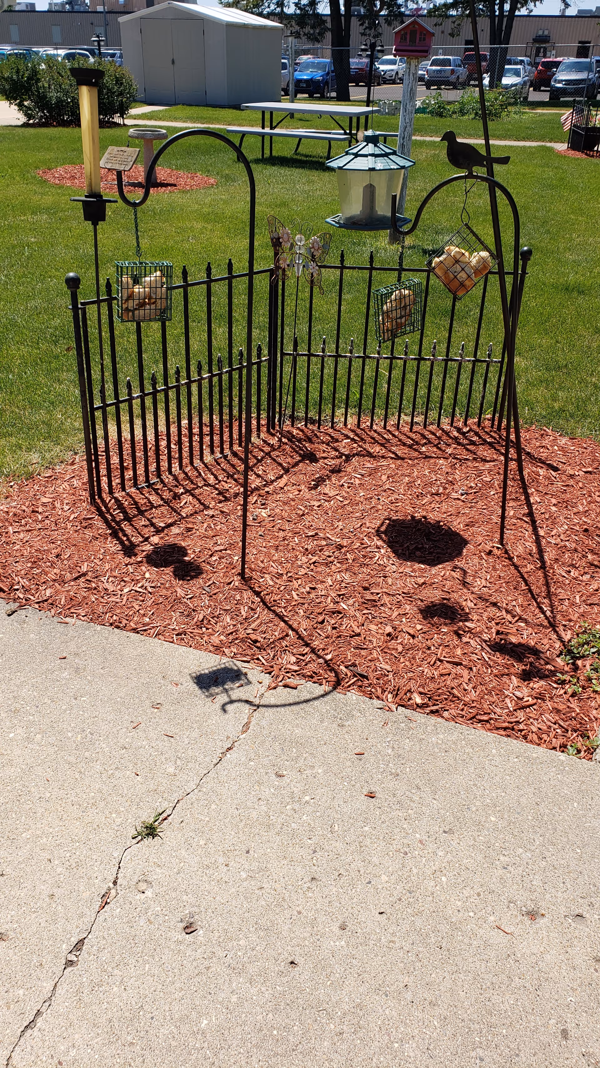 Outdoor garden area with a small decorative black metal fence and several bird feeders hanging from metal hooks. The ground is covered with red mulch and there is a concrete pathway in the foreground. In the background, there is a picnic table, a white shed, parked cars, and some greenery.