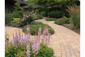 Curving paved pathway winding through a landscaped garden with flowering plants and shrubs.