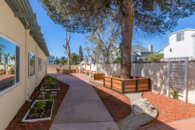 Sunlit outdoor courtyard walkway with raised wooden planters, benches and trees alongside a single-story building.