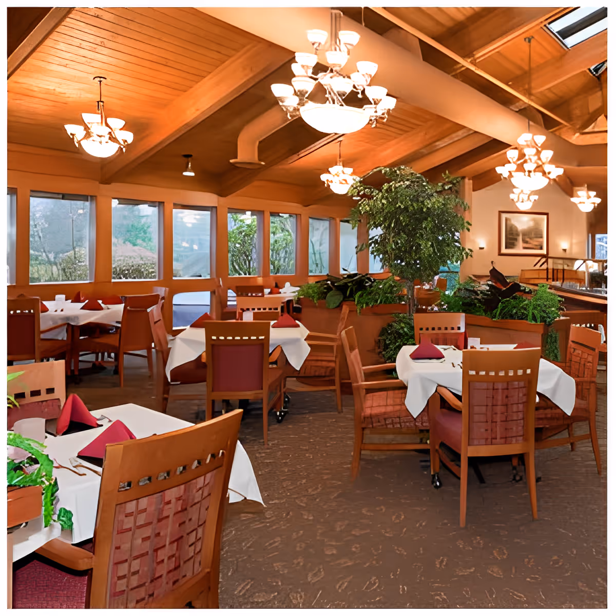 A warm and inviting dining room with wooden ceiling beams and multiple chandeliers. The room features several tables covered with white tablecloths and burgundy napkins, surrounded by wooden chairs with red cushions. Large windows line one side of the room, allowing natural light to enter. There are green plants and shrubs placed throughout the space, adding a touch of nature to the interior.