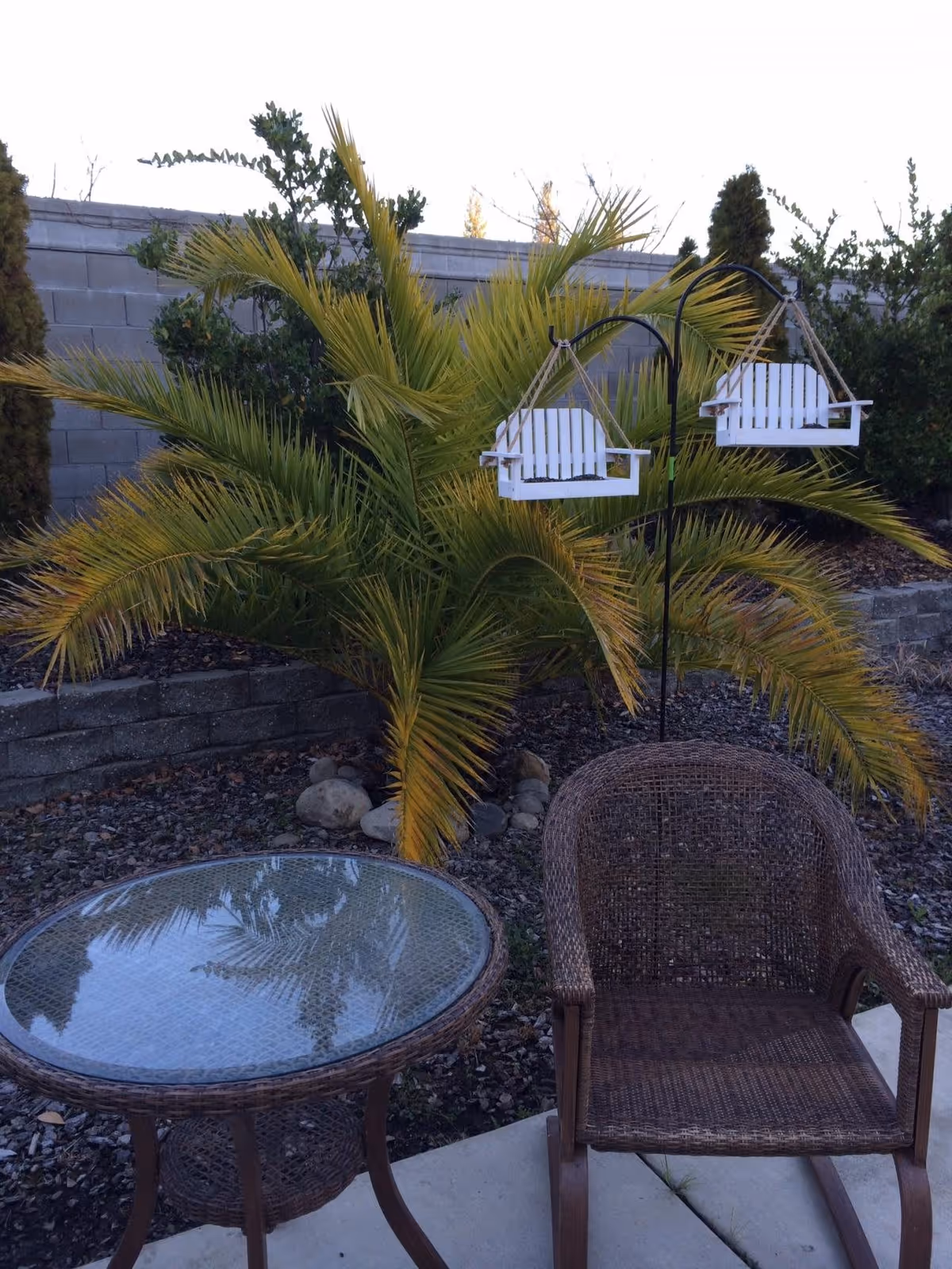 Outdoor seating area with a wicker chair and a round glass-top table on a concrete patio. Behind the seating area, there are green and yellow palm plants, a stone retaining wall, and two small white hanging bird feeder swings attached to a black metal stand.
