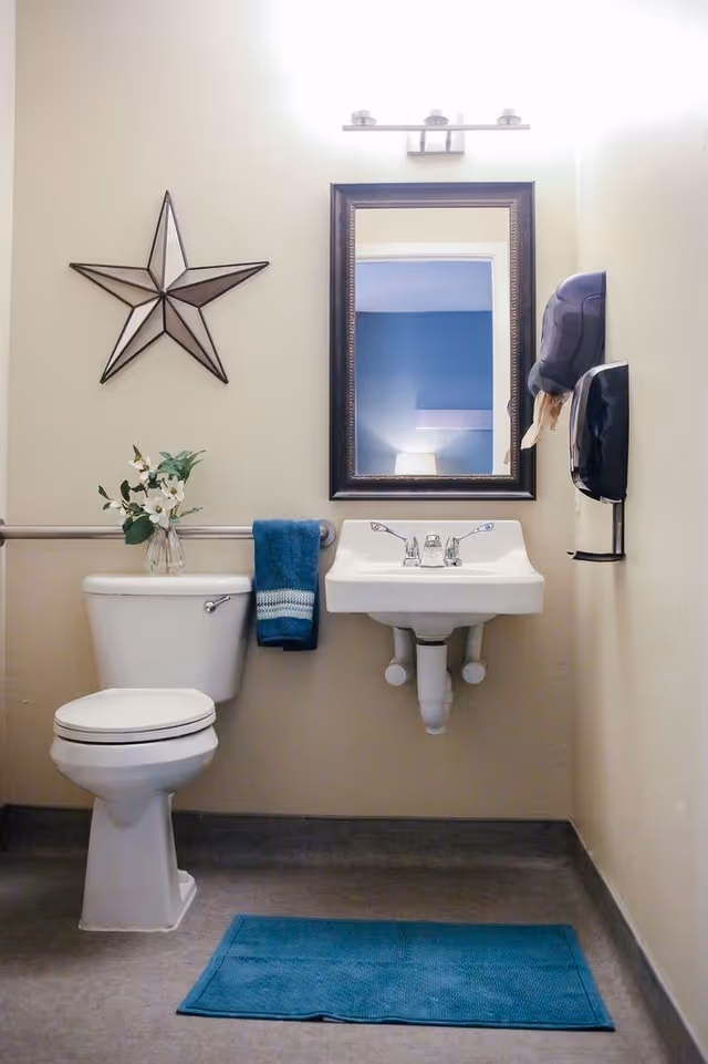 Accessible bathroom with a toilet, wall-mounted sink and mirror, decorative star, towel, soap dispenser, vase of flowers, and a blue bath mat.