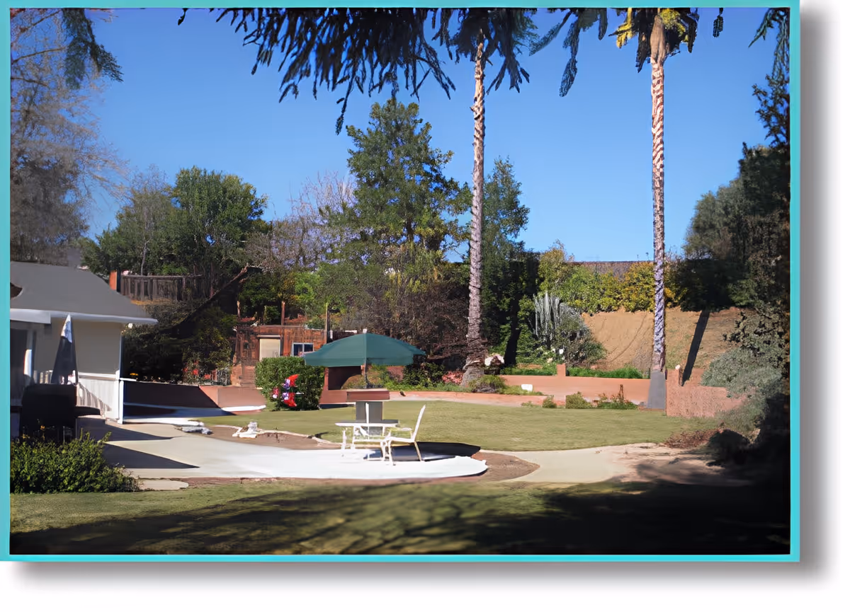 Outdoor garden area with green grass, two tall palm trees, a patio table with an umbrella and chairs, surrounded by various trees and shrubs under a clear blue sky.