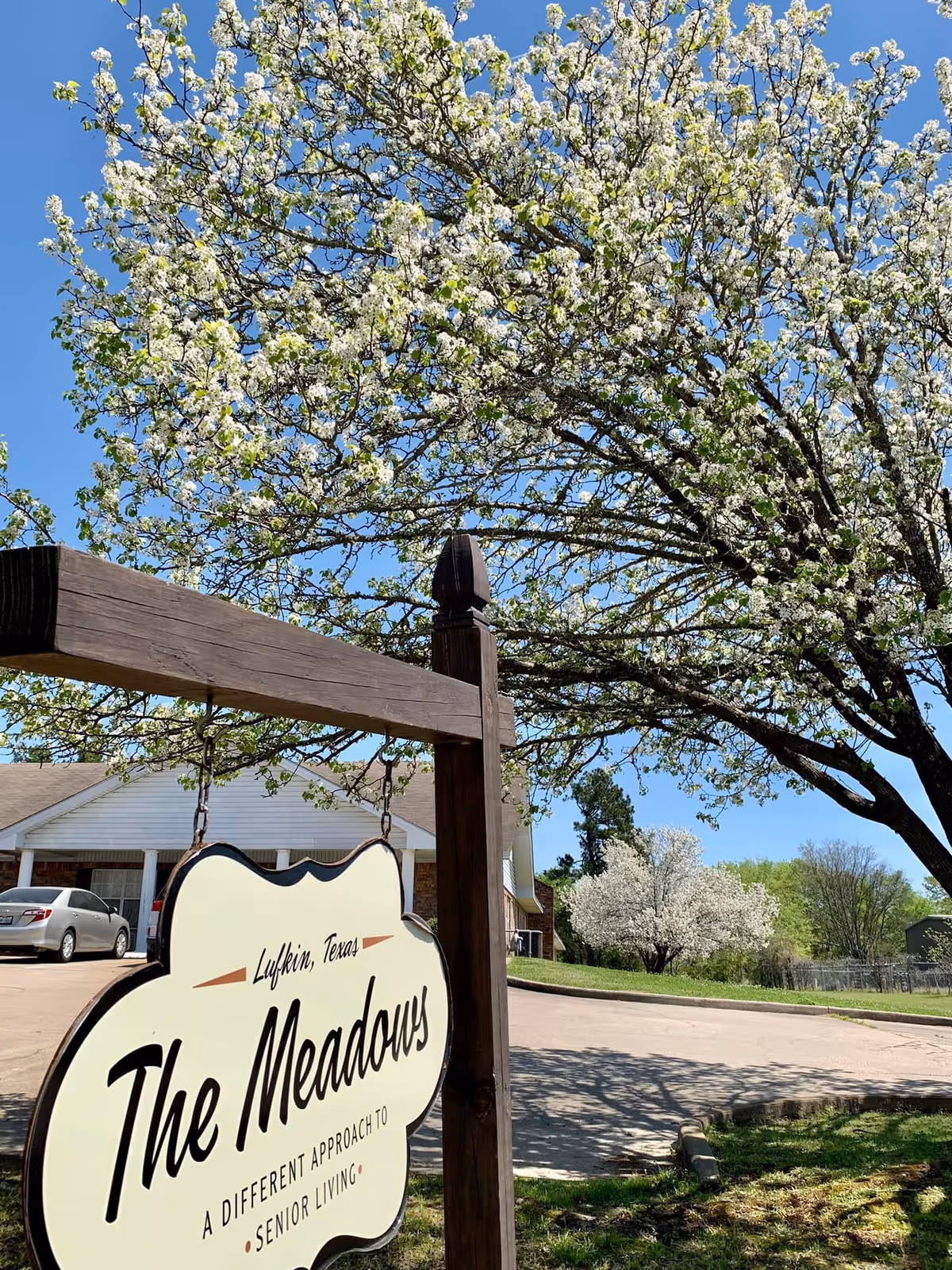 Outdoor scene at The Meadows senior living facility in Lufkin, Texas, featuring a wooden sign with the facility's name and slogan. The background shows a driveway, a parked car, a building with a white porch, and trees with white blossoms under a clear blue sky.