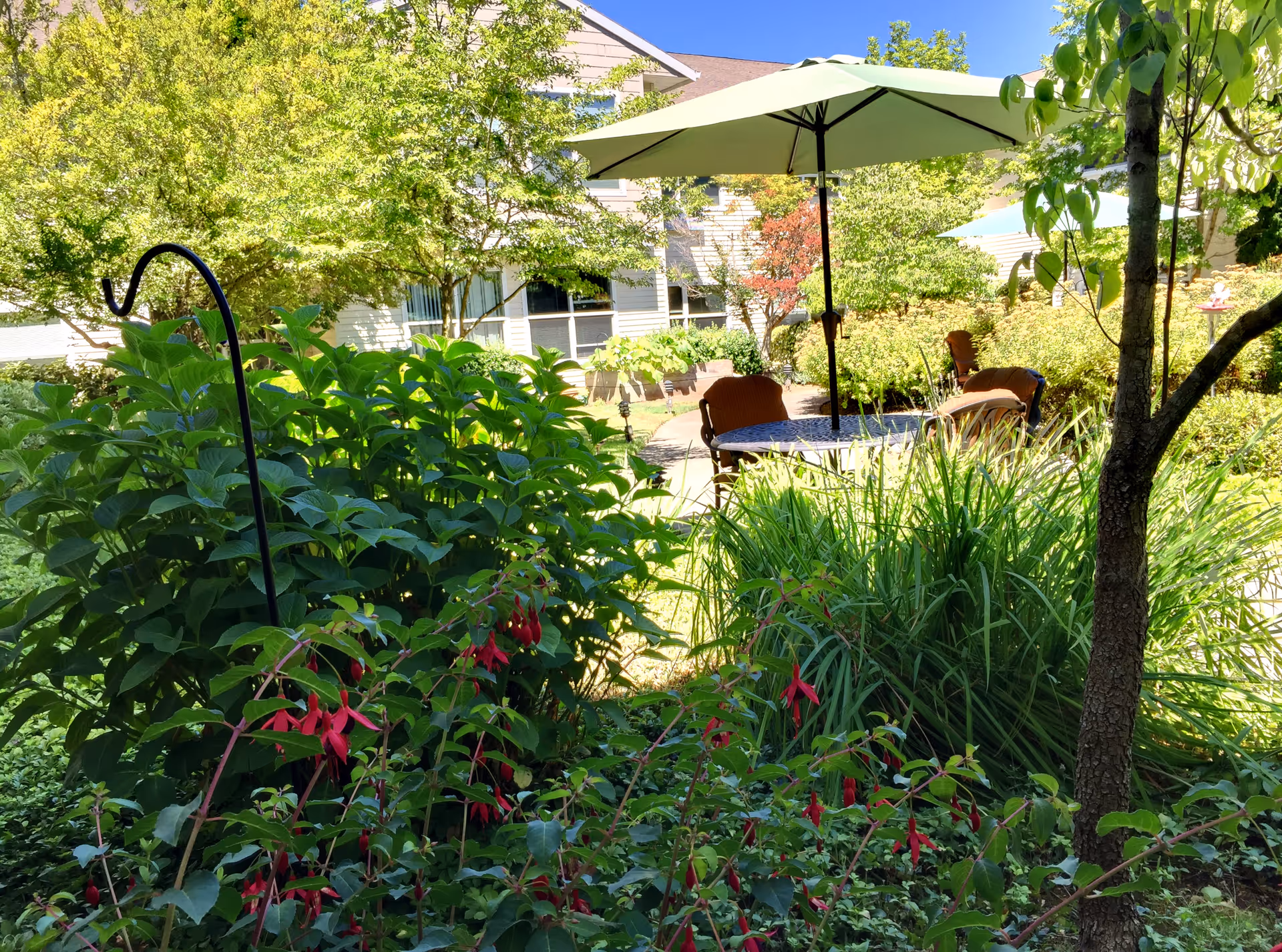 A sunny outdoor garden area at Prestige Senior Living Bridgewood featuring lush green plants, red flowers, a tree, and a patio table with chairs under a large green umbrella. The building with windows is visible in the background.