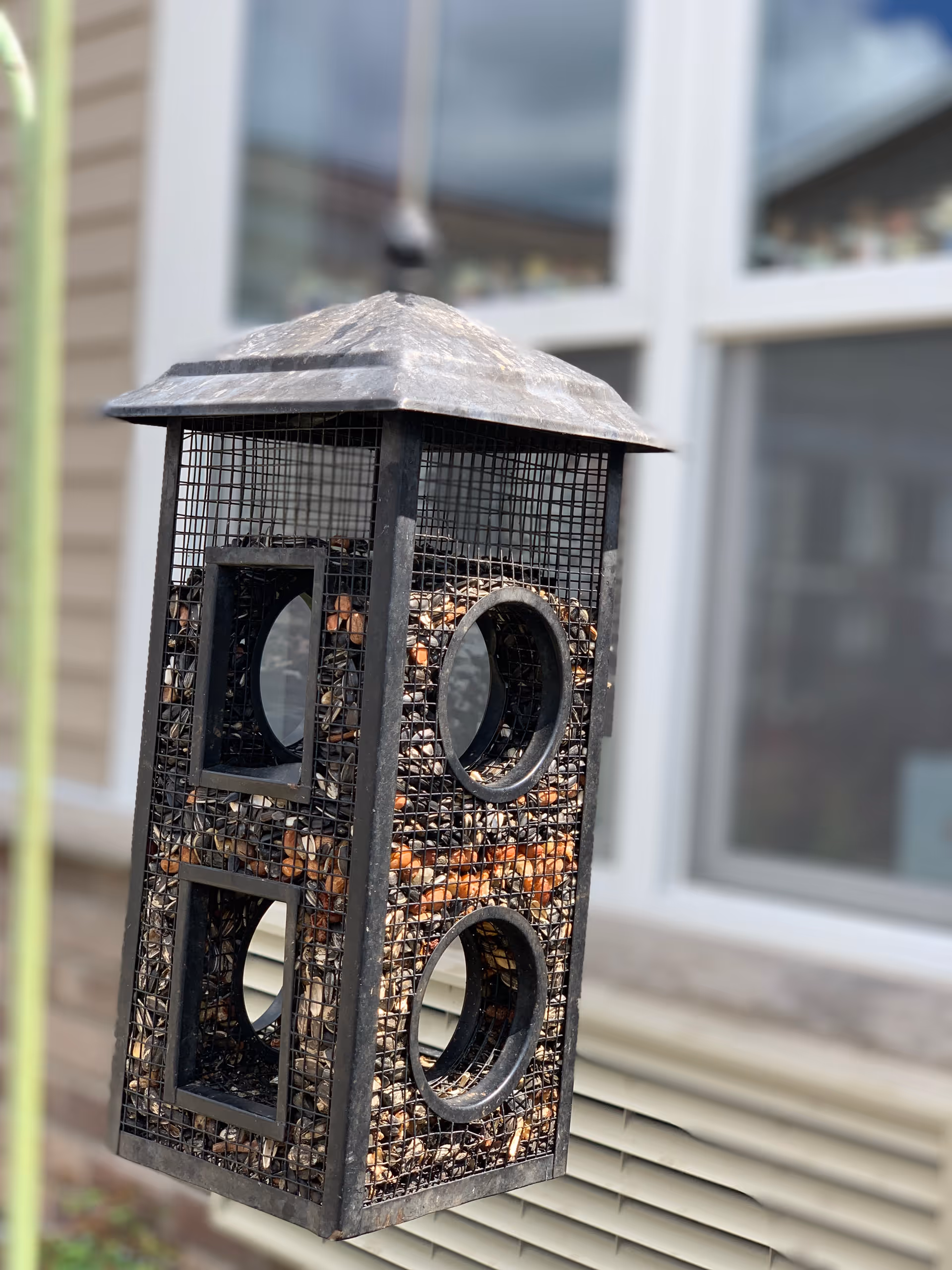 A close-up view of a black metal bird feeder filled with seeds, hanging outdoors in front of a building with beige siding and white-framed windows.