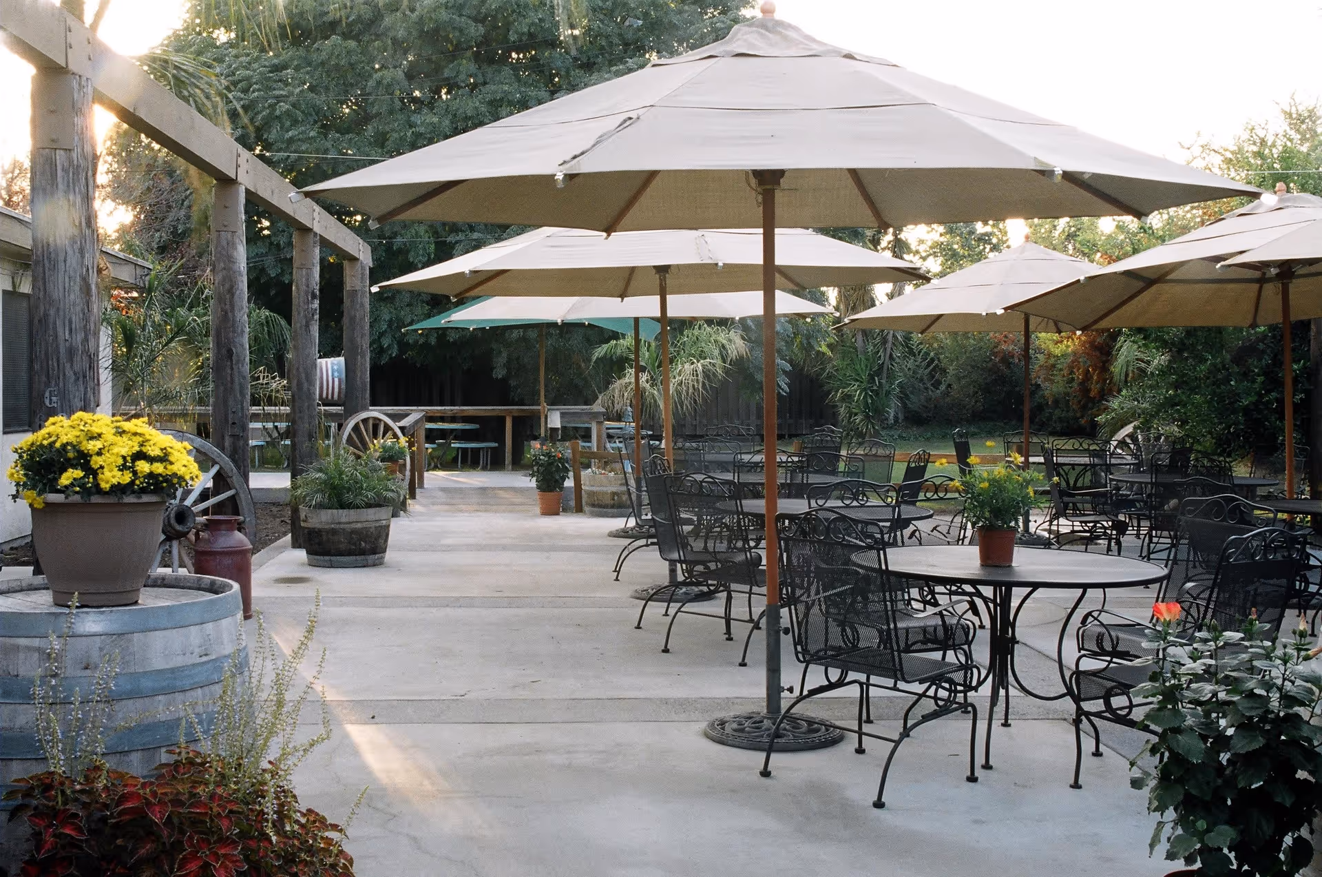 Outdoor patio with metal tables and chairs under large umbrellas surrounded by potted plants and greenery.