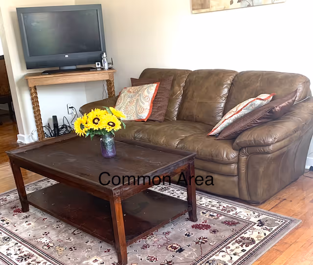 A cozy common area with a brown leather couch adorned with patterned pillows, a wooden coffee table with a vase of sunflowers, a patterned rug underneath, and a wooden TV stand holding a flat-screen television and some electronic devices.