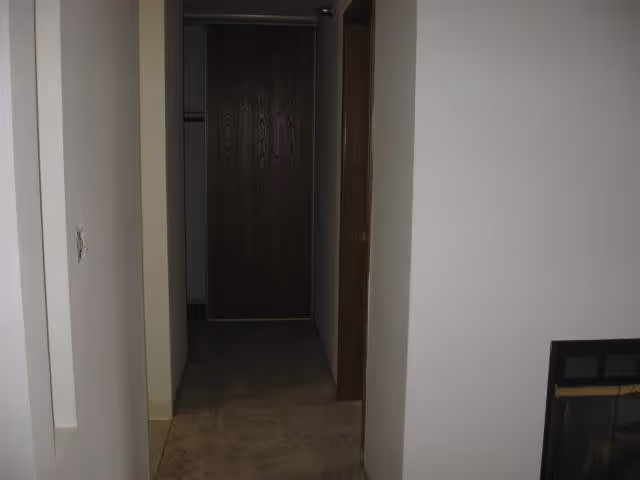 A narrow hallway with beige carpet and white walls leading to a closed wooden door at the end. On the right side, part of a fireplace with a black frame is visible. The hallway is dimly lit.