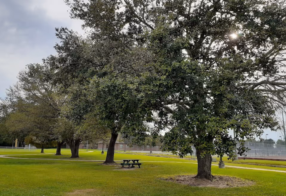 A green outdoor area with several large trees, a picnic table, and a paved walking path. In the background, there is a building and a fenced tennis court under a partly cloudy sky.