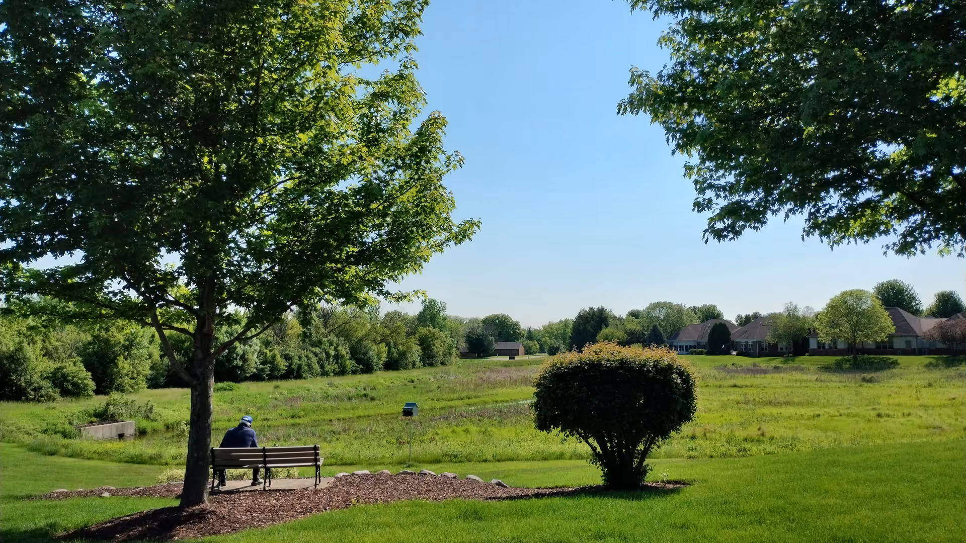 A person sitting on a bench under a large tree in a green, open grassy area with bushes and trees in the background under a clear blue sky.