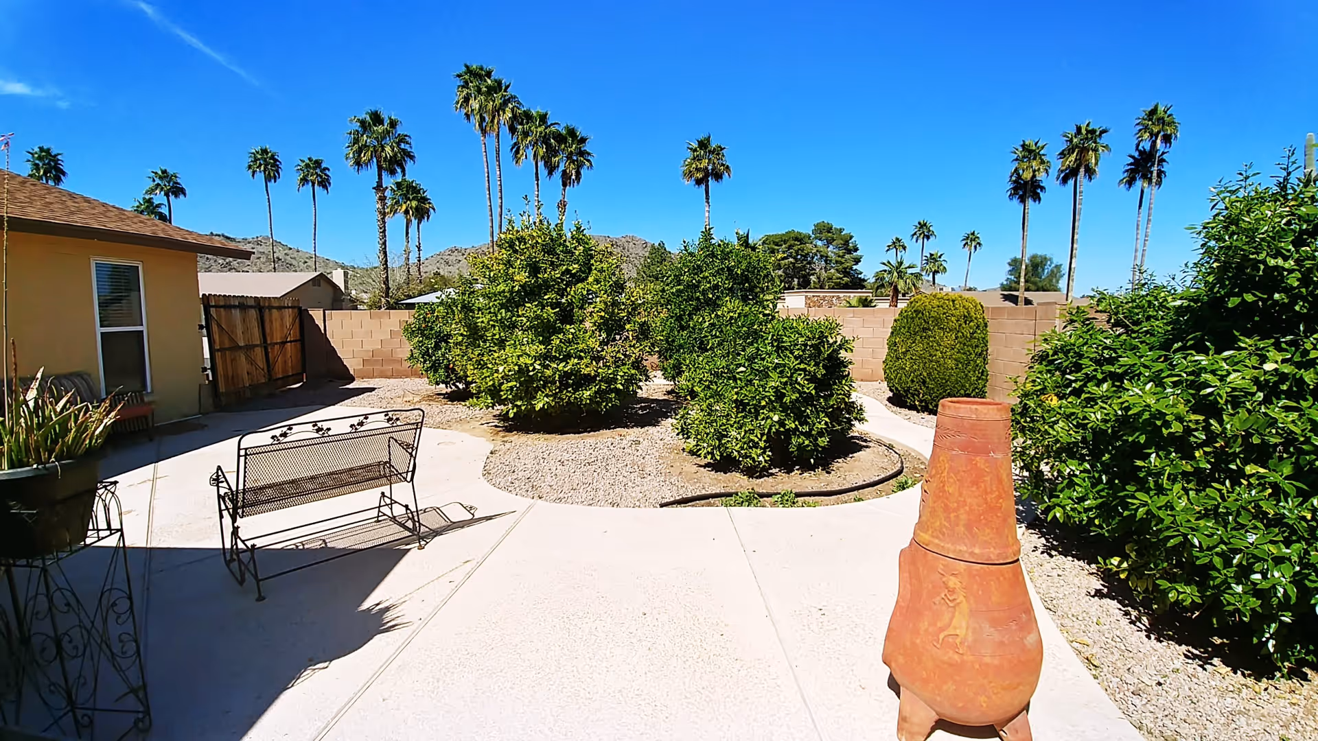 Outdoor patio area with a concrete walkway, metal bench, potted plants, and several green bushes. There are tall palm trees in the background under a clear blue sky, with a tan building and a wooden gate on the left side.