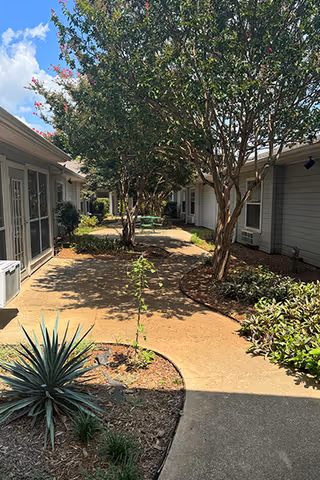 A sunny outdoor courtyard area at The Estates at Grand Prairie featuring a concrete walkway surrounded by landscaped plants and trees, with single-story buildings on either side.