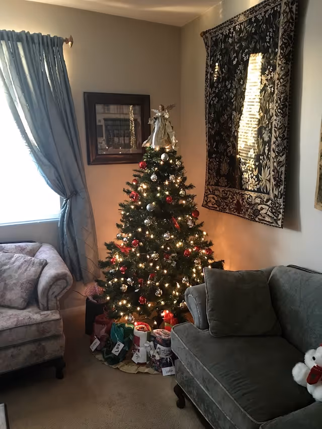 Decorated Christmas tree with lights and wrapped gifts in a cozy living room between two sofas and a window.