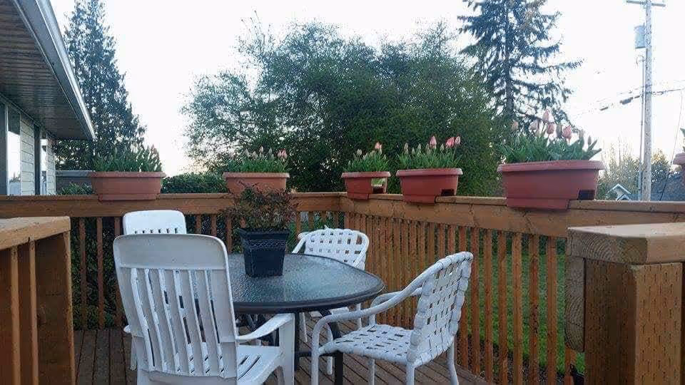 Outdoor wooden deck with a round glass table surrounded by four white chairs. Several flower pots with pink flowers are placed on the wooden railing. Trees and power lines are visible in the background.