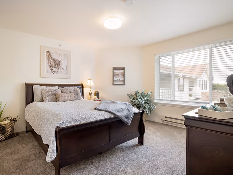 A bright bedroom with a large window letting in natural light. The room features a dark wooden bed frame with a white patterned bedspread and multiple pillows. There is a bedside table with a lamp and decorative items, a framed picture of horses on the wall above the bed, a potted plant in the corner, and a dark wooden dresser with decorative items on top. The carpet is light gray and the walls are painted a soft cream color.